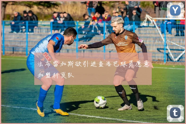 法布雷加斯欲引进查洛巴球员愿意加盟科莫队