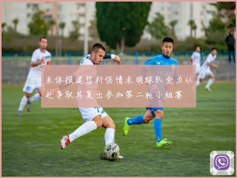 米体报道哲科伤情未明球队全力以赴争取其复出参加第二轮小组赛